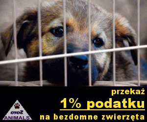 otoz