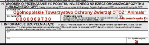 Wzór wypełnienia PIT