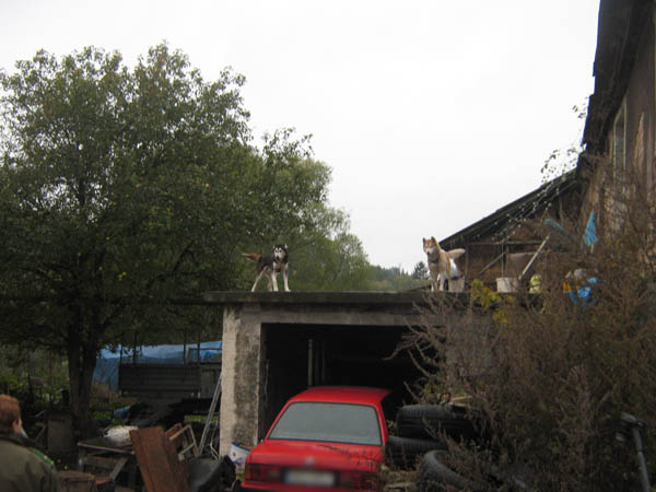 IMG_0169_1.JPG