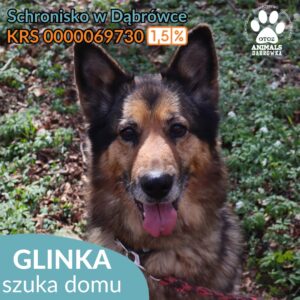 Glinka