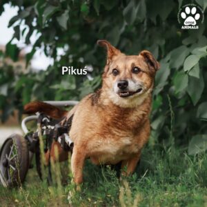 518370969_1312989590390973_5976091783934916710_n