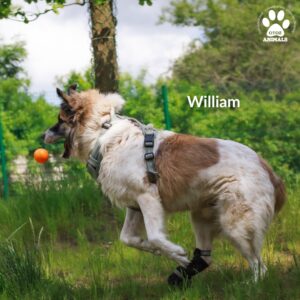 518390140_1312989603724305_7996780081599812954_n