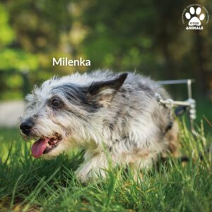 518390377_1312989610390971_4840684312935710823_n