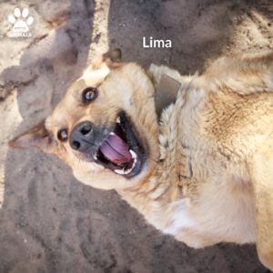 518405664_1312989617057637_1373101492145492457_n