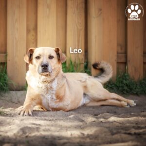 518412562_1312989517057647_2197150497174524294_n