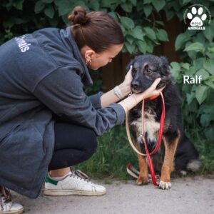 520289622_1312989620390970_4052086260595393694_n