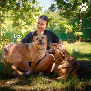 520890371_1312989673724298_4506992674559507835_n