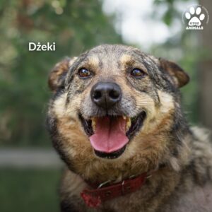 523448499_1312989600390972_2214785600672949782_n