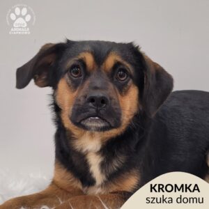 KROMKA