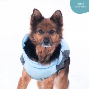 Greta