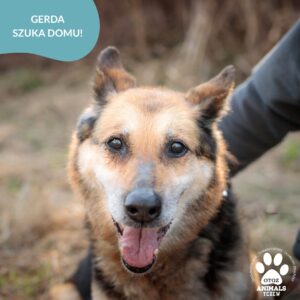 Gerda