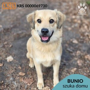BUNIO