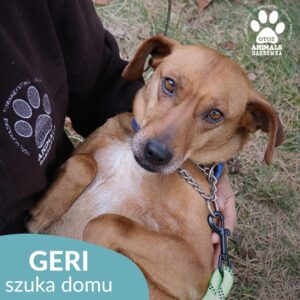 Geri