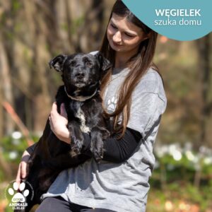 Węgielek