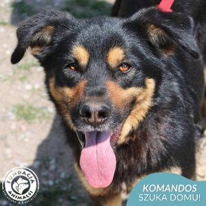 KOMANDOS