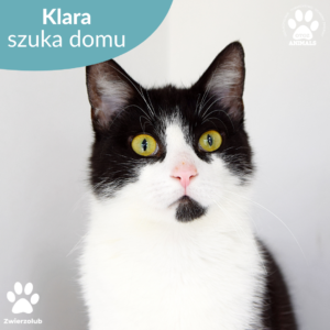 Klara