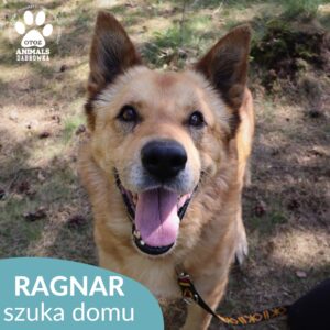 Ragnar