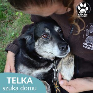 Telka