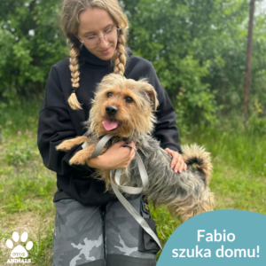 Fabio