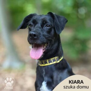 Kiara