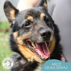 ARCZI