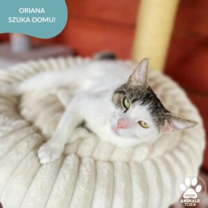 Oriana
