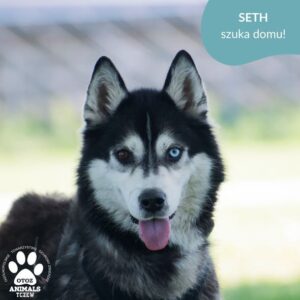 Seth
