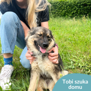 Tobi