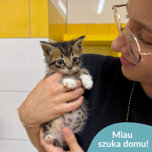 Miau