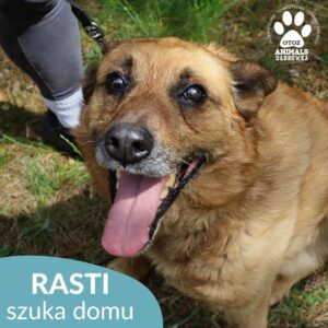 Rasti