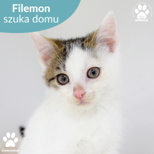 Filemon