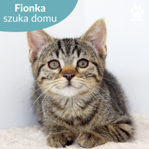 Fiona