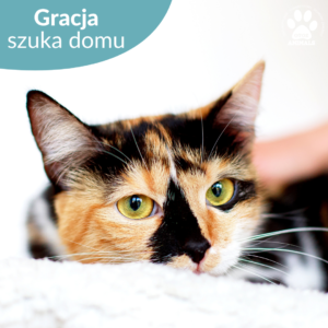 Gracja