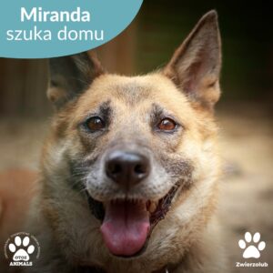 Miranda