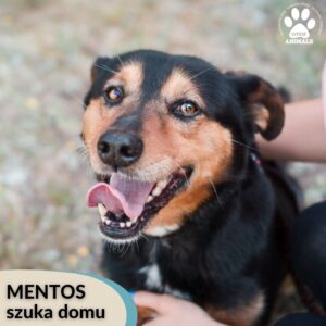 Mentos