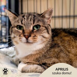 Aprilis