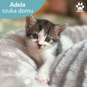 Adela