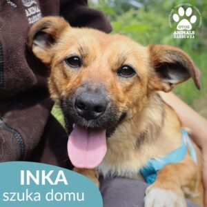 INKA