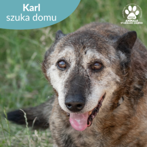 Karl