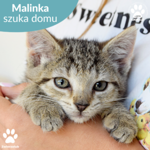 Malinka