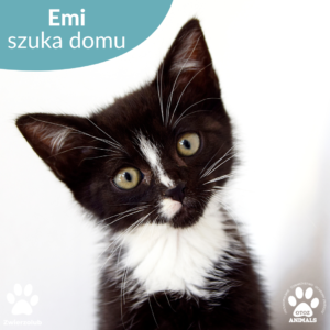 Emi
