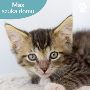 Max