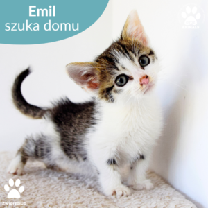 Emil
