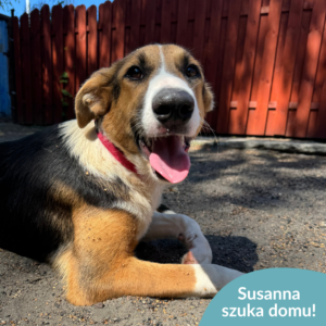 Susanna