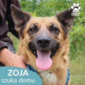 Zoja