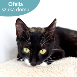 Ofelia