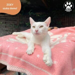 Zoey