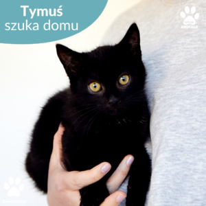 Tymuś