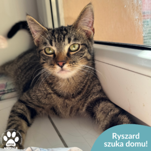 Ryszard