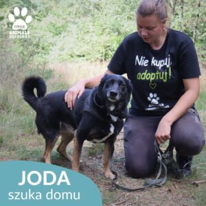 Joda